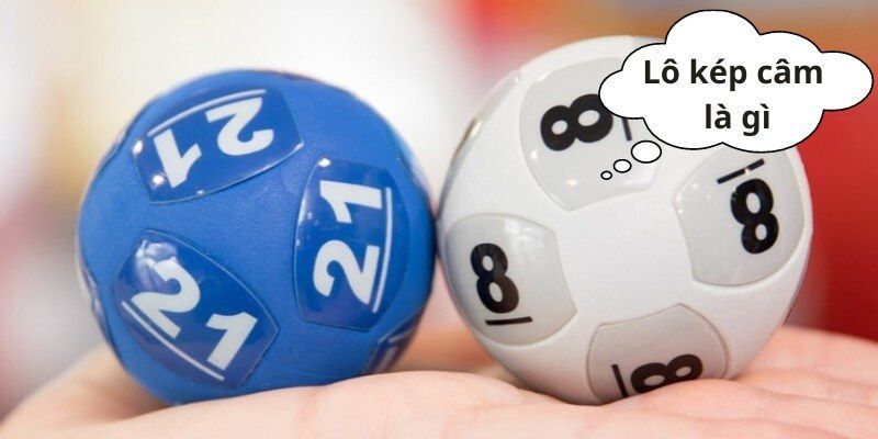 Lô kép câm là gì Giới thiệu lô kép câm là gì?